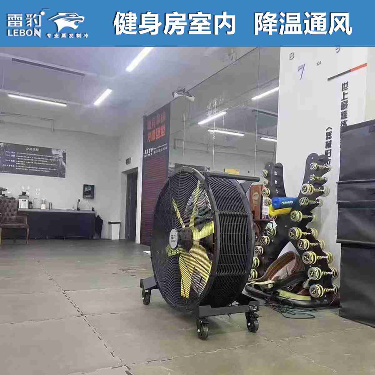 健身房室內(nèi)大廳   EF4822D雷豹大風扇  降溫通風